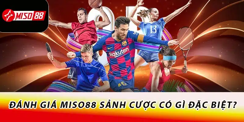 Đánh giá Miso88 sảnh cược có gì đặc biệt?