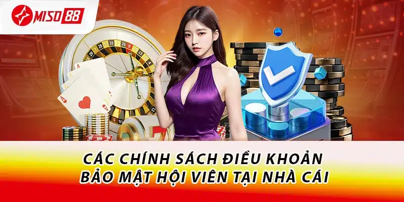 Điều Khoản Điều Kiện Miso88 - Cần Hiểu Rõ Trước Khi Chơi 2 Các chính sách điều khoản bảo mật hội viên tại nhà cái