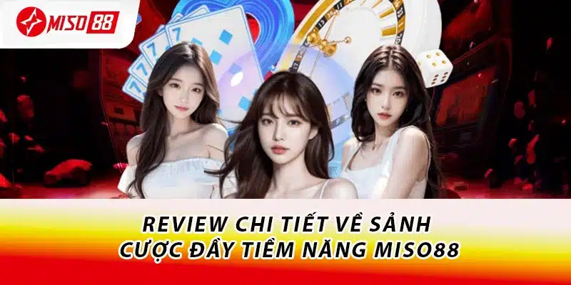 Giới Thiệu Miso88 Từ A Đến Z - Sảnh Cược Số 1 Việt Nam 1 Review chi tiết về sảnh cược đầy tiềm năng Miso88