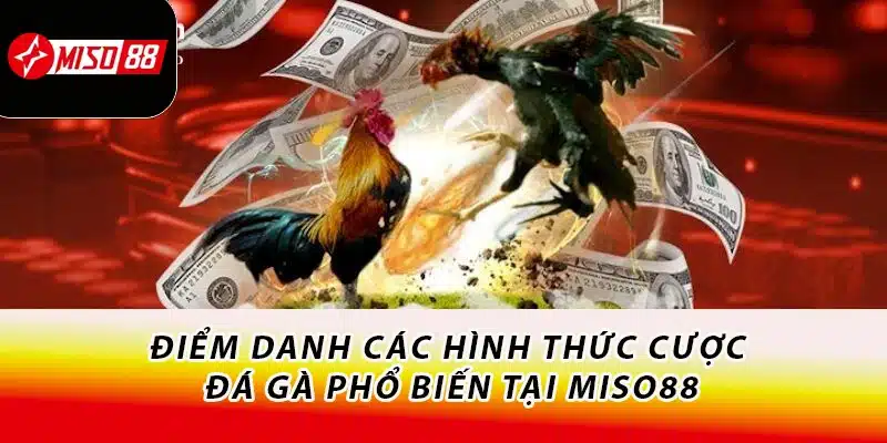 Điểm danh các hình thức cược đá gà phổ biến tại Miso88