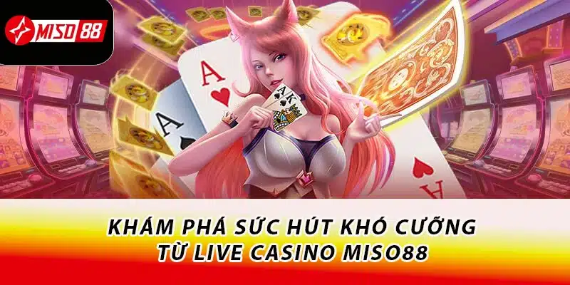 Khám phá sức hút khó cưỡng từ live casino Miso88