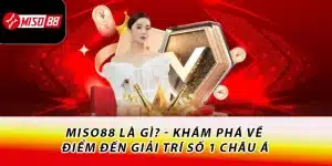 Miso88 là gì?